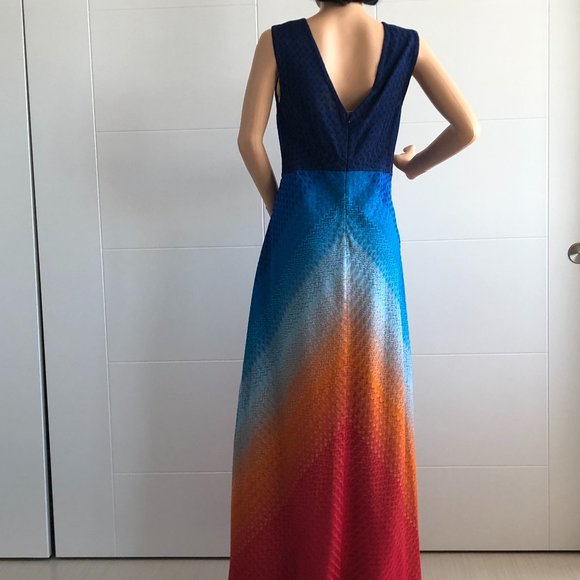 Ombre Gown - Picture 14 of 16